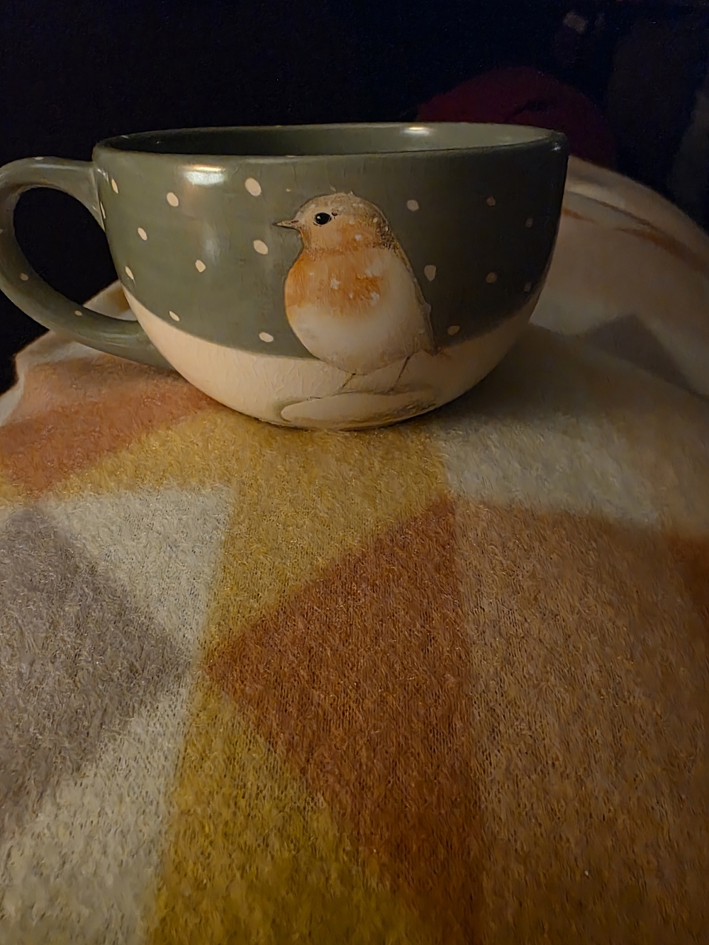 Green and Cream Ceramic Mug with Robin Motif